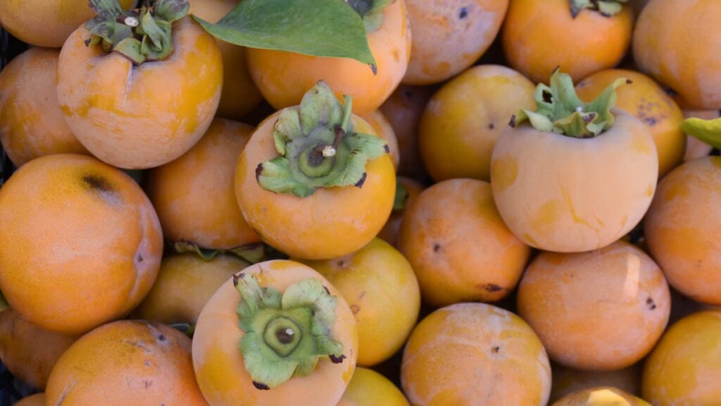 Trabzon hurması kabuklu mu yenilmeli kabuksuz mu? İşte yanıtı…