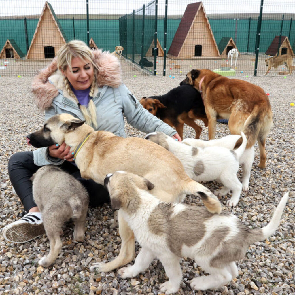 20 milyon TL’lik ‘pati’ vurgununda başkan tutuklandı!