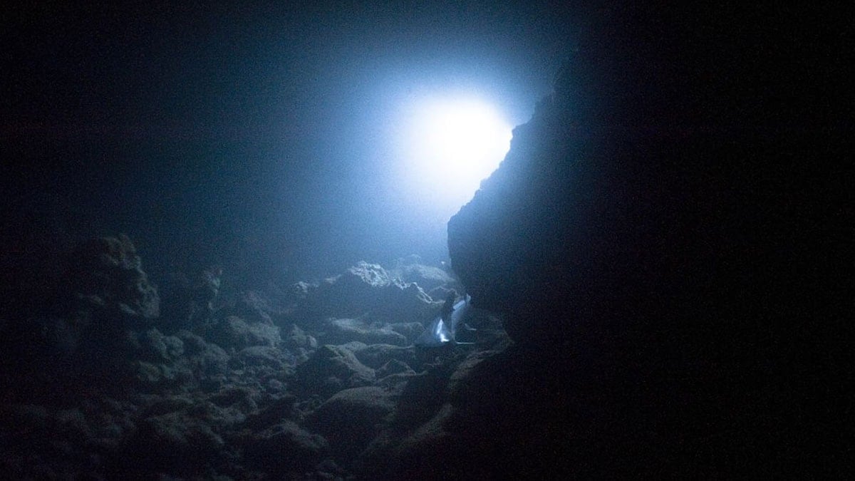 8 bin 600 metrede gizemli yırtıcı!