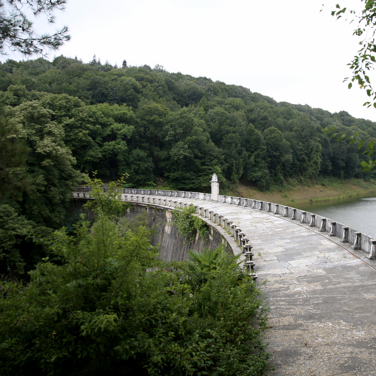 Bakanlıktan Belgrad Ormanı açıklaması