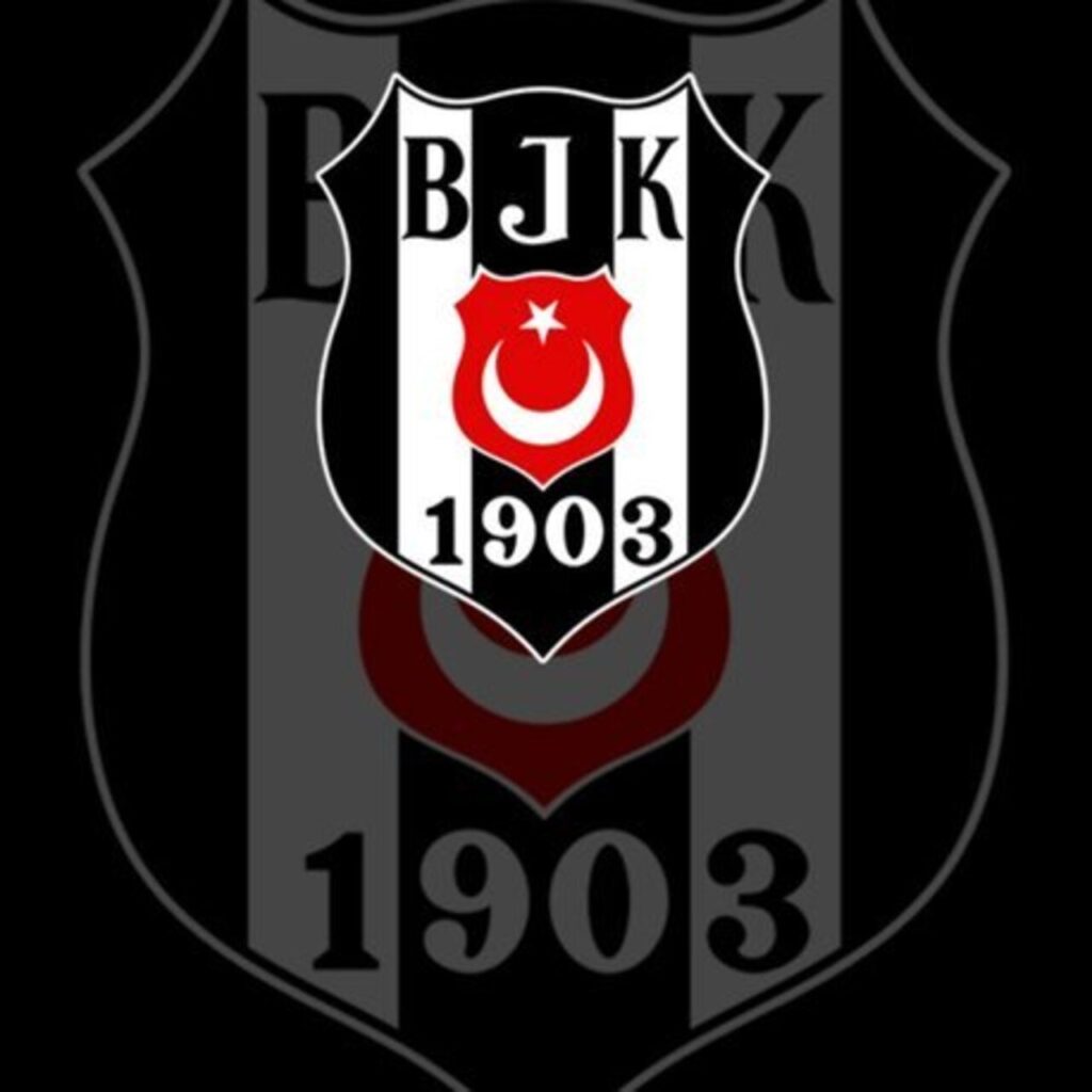 Beşiktaş olağanüstü seçime gidiyor!