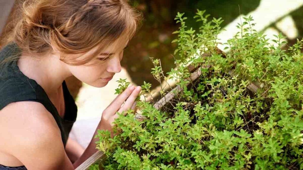 Bu 5 kokuyu alamayan dikkat! Ölümün erken belirtisi olabilir