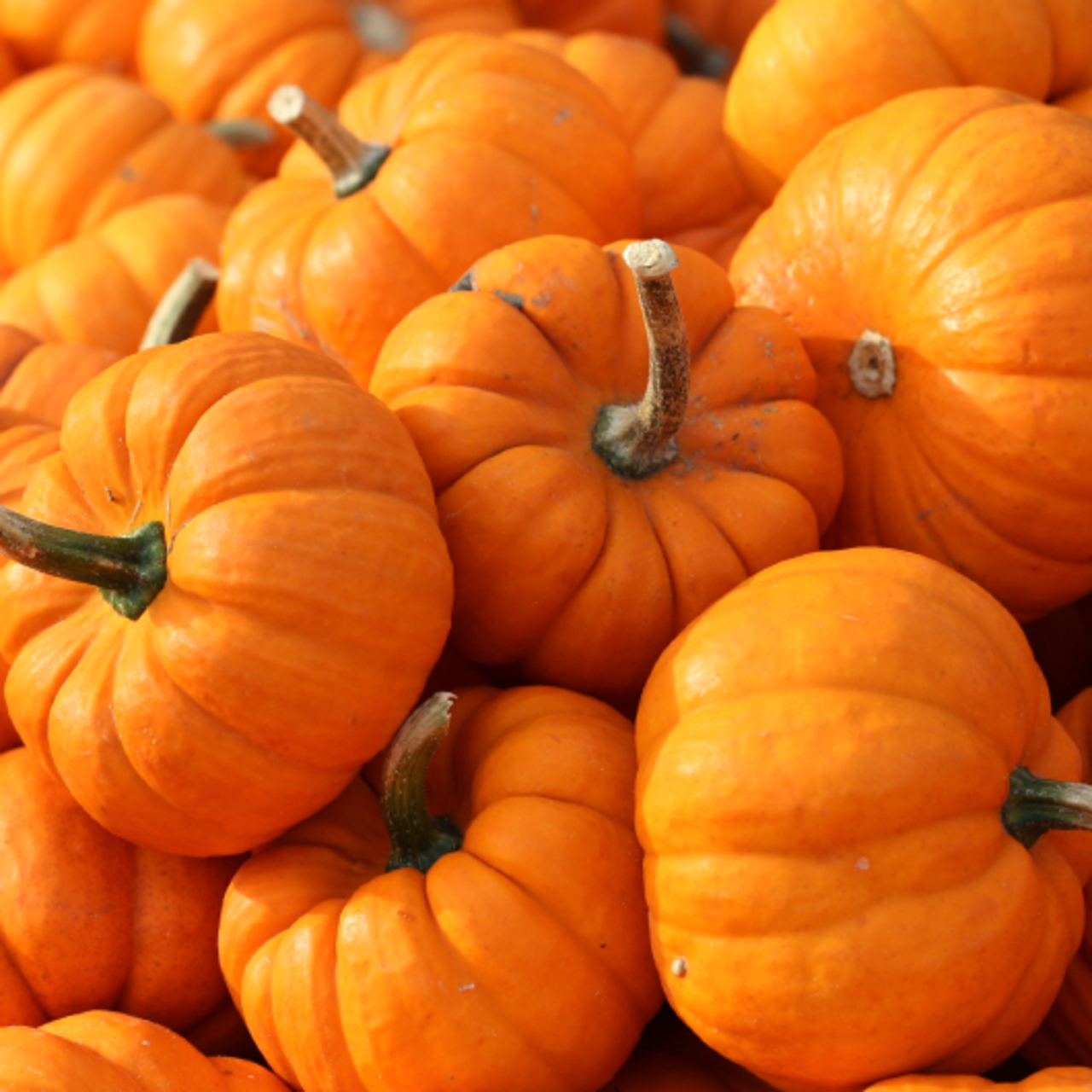 Bu besinleri fazla tüketmek cildi sarı ve turuncuya boyuyor