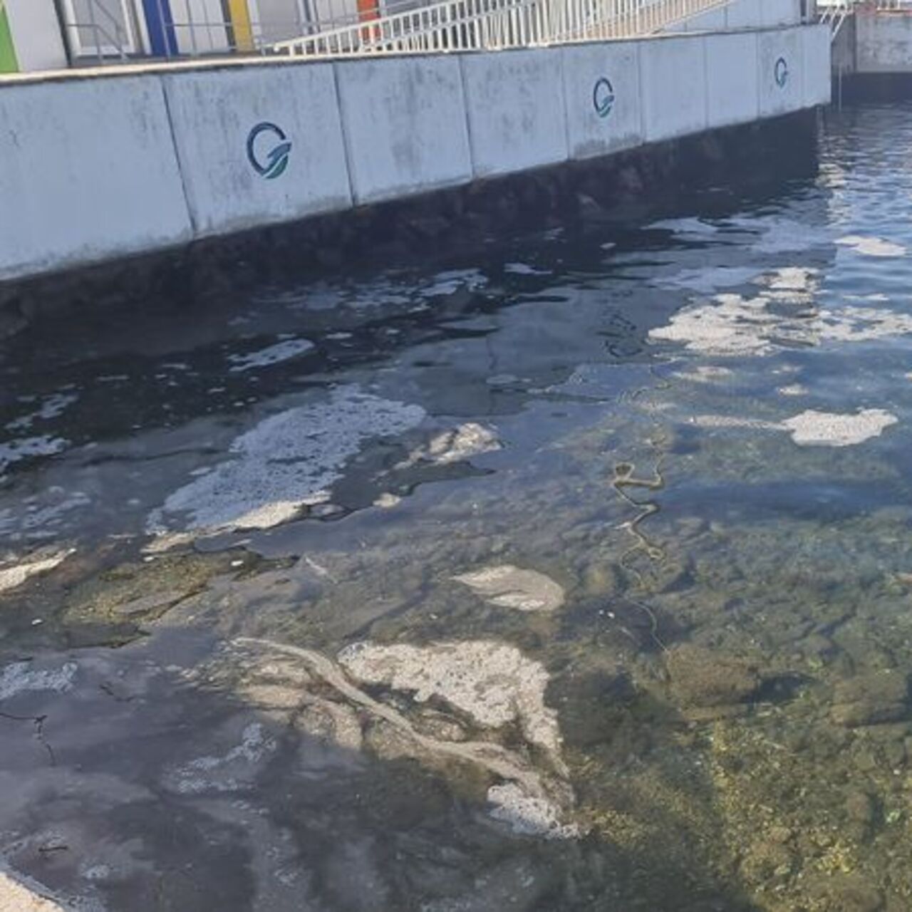 Çanakkale Boğazı’nda müsilaj tespit edildi