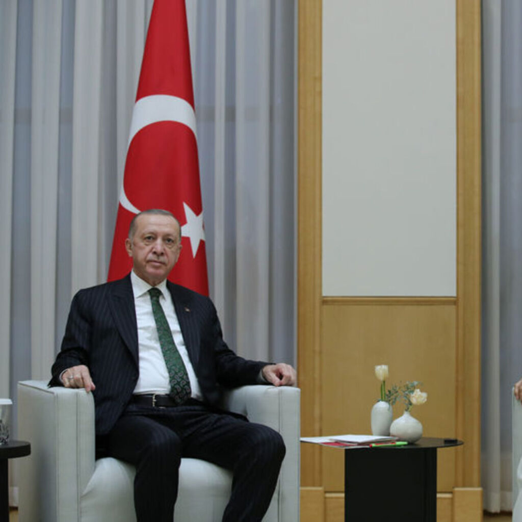 Cumhurbaşkanı Erdoğan BAE Devlet Başkanı ile görüştü