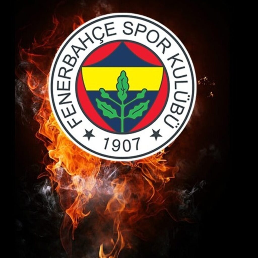 Fenerbahçe’ye sakat futbolculardan kötü haber!