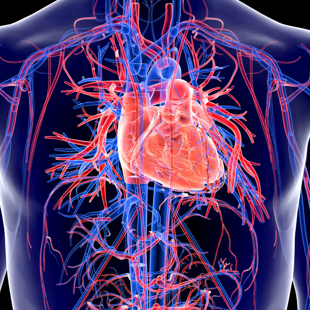 Hava kirliliği, kalp krizi sebebi!