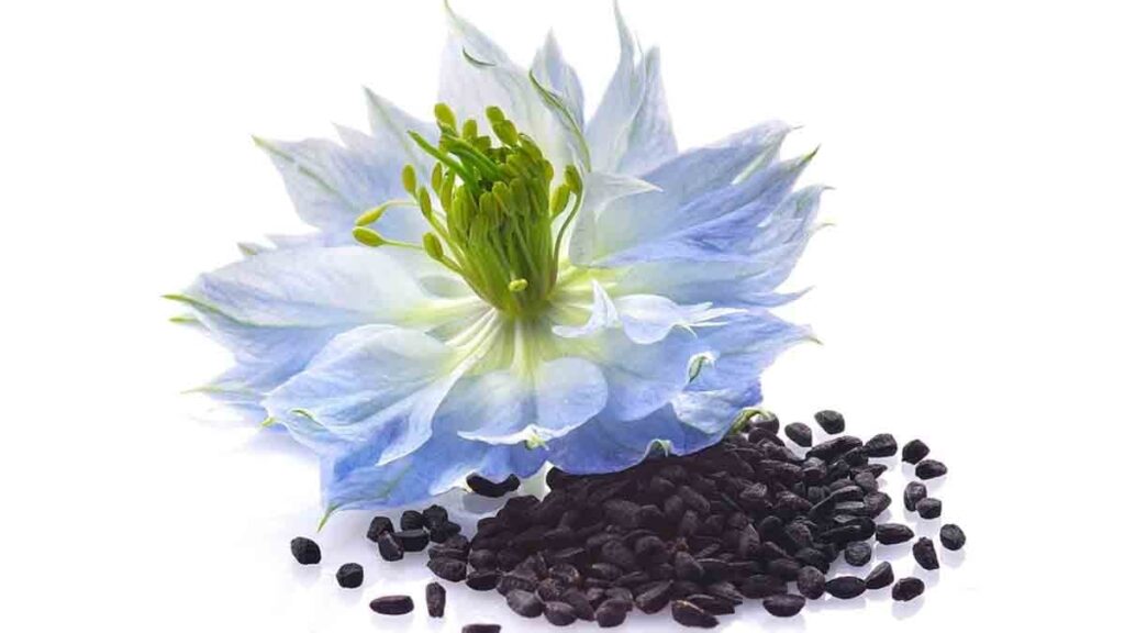 Her gün sadece 1 çay kaşığı yiyin: Saç, cilt, kan basıncı… Birçok hastalığa iyi geliyor