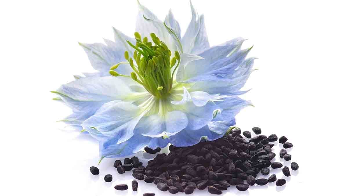 Her gün sadece 1 çay kaşığı yiyin: Saç, cilt, kan basıncı… Birçok hastalığa iyi geliyor