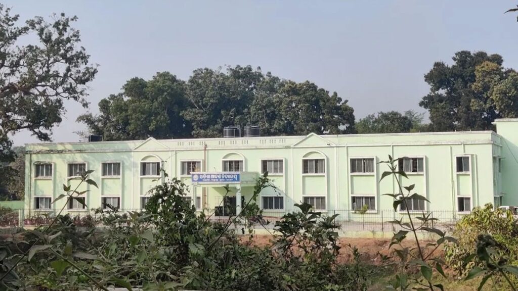 Maymun başlattı, liseye yüzlercesi saldırdı: 32 öğrenci hastanelik oldu