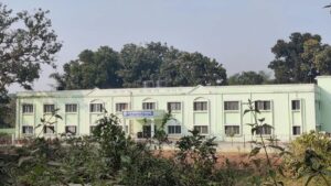 Maymun başlattı, liseye yüzlercesi saldırdı: 32 öğrenci hastanelik oldu