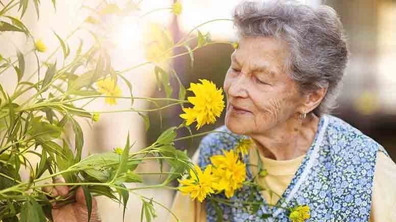 Ne işlenmiş gıda ne de şeker: Uzun yaşamak isteyenlerin kaçınması gereken tek şey bu!