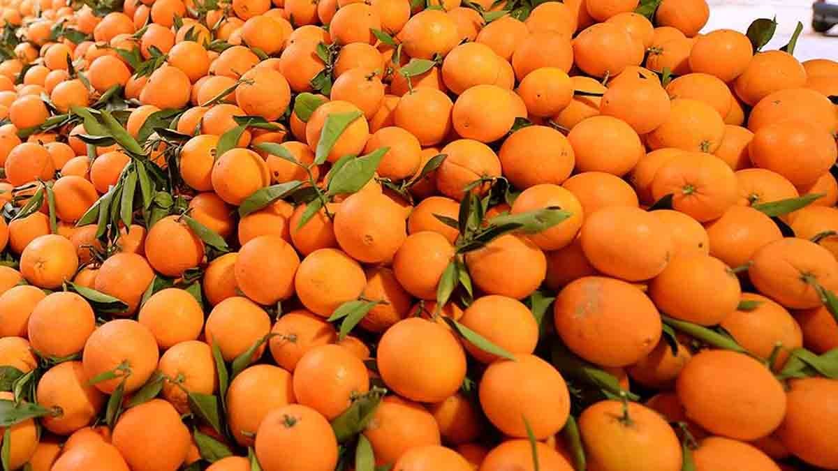 Portakalın en tatlısını seçmek için 5 yöntem var:  Öncelikle filelerde satılan portakallardan kaçının!