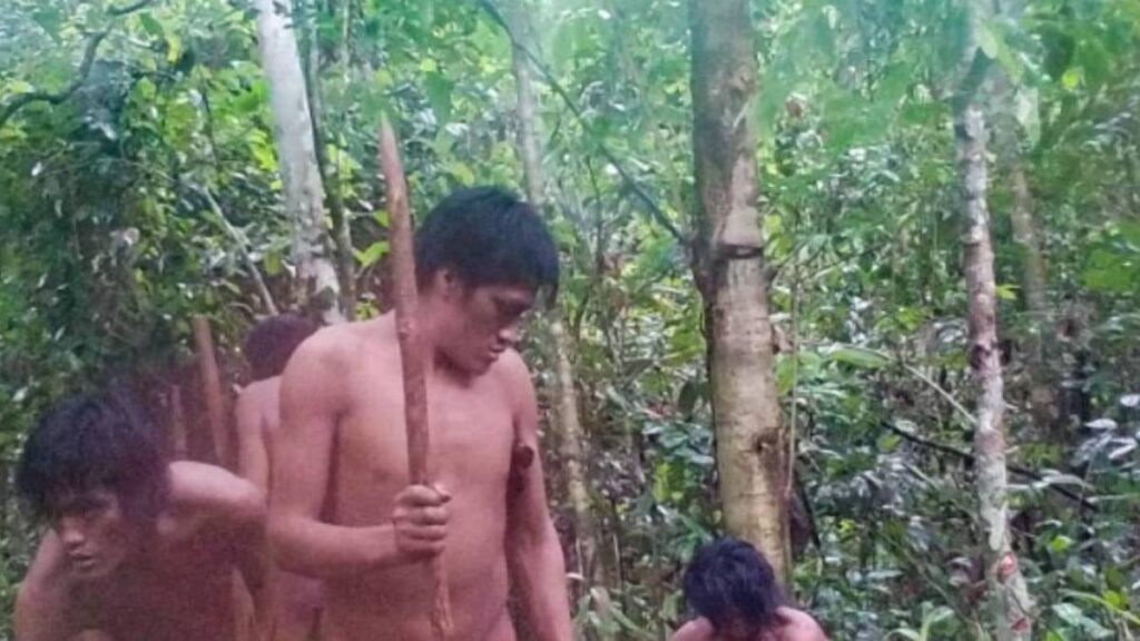 Yıllardır gizleniyorlardı: Amazon kabilesi ilk kez görüntülendi