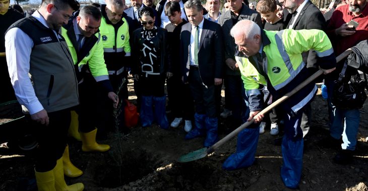 Zeytin fidanları toprakla buluştu