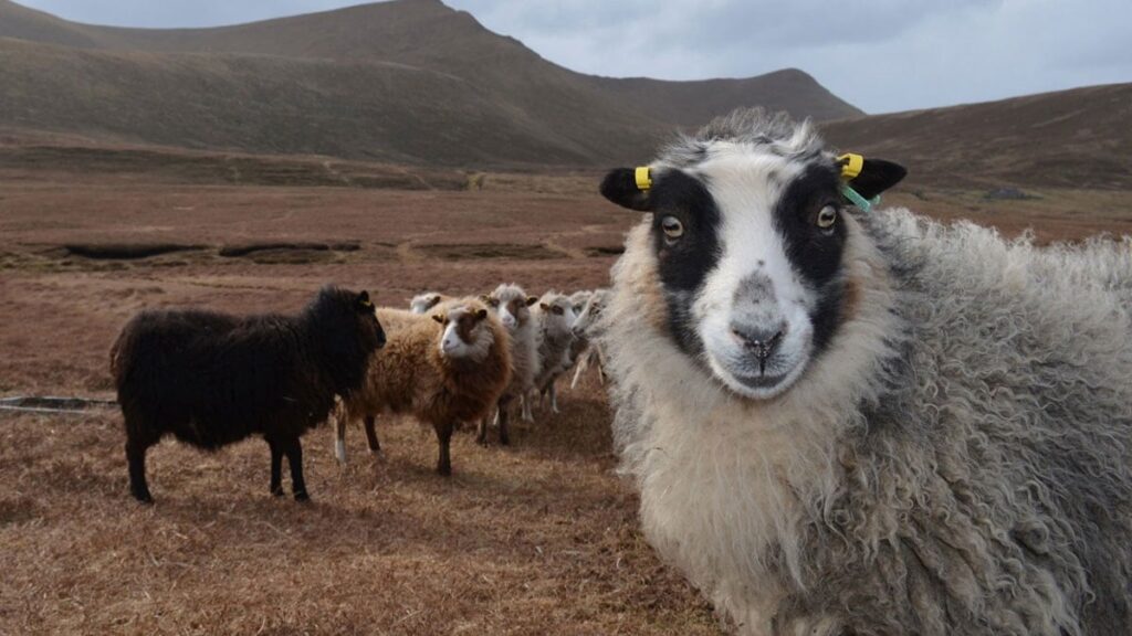 2025’e 13 gün rötarlı girdiler: Keyifleri yerinde