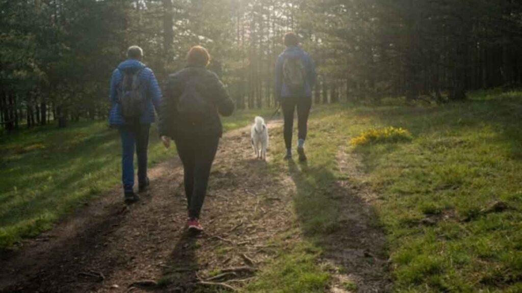 6 tehlikeli yürüyüş alışkanlığı: Dizleri mahvediyor
