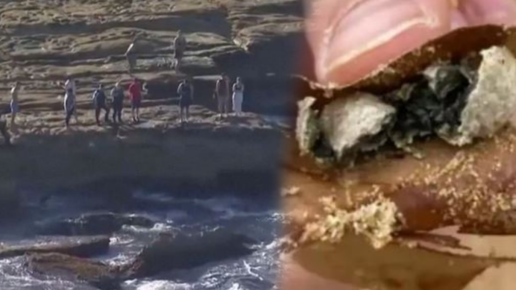 9 plaj apar topar kapatıldı: Patır patır her yerden çıkıyorlar ‘endişe verici’