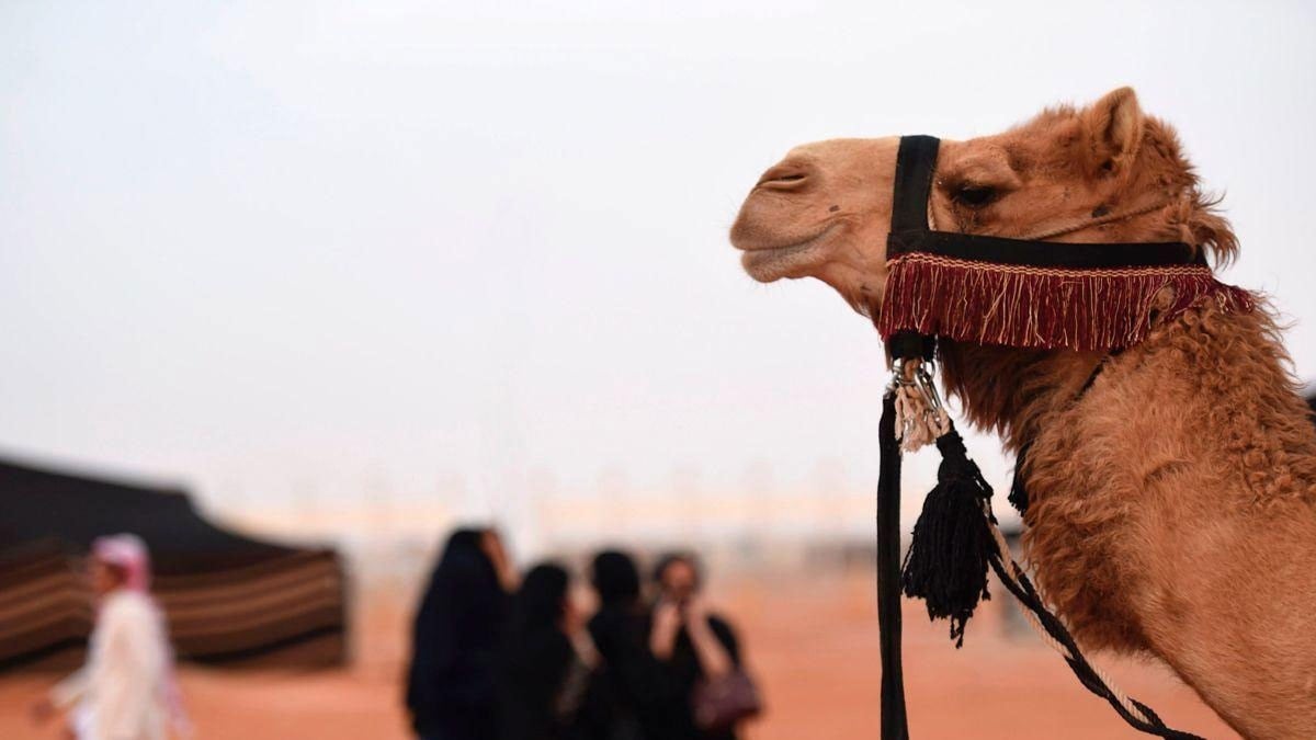 Botokslu 40 deve diskalifiye edildi!