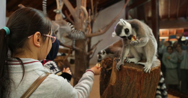 Bursa Büyükşehir Belediyesi’nden öğrencilere karne hediyesi