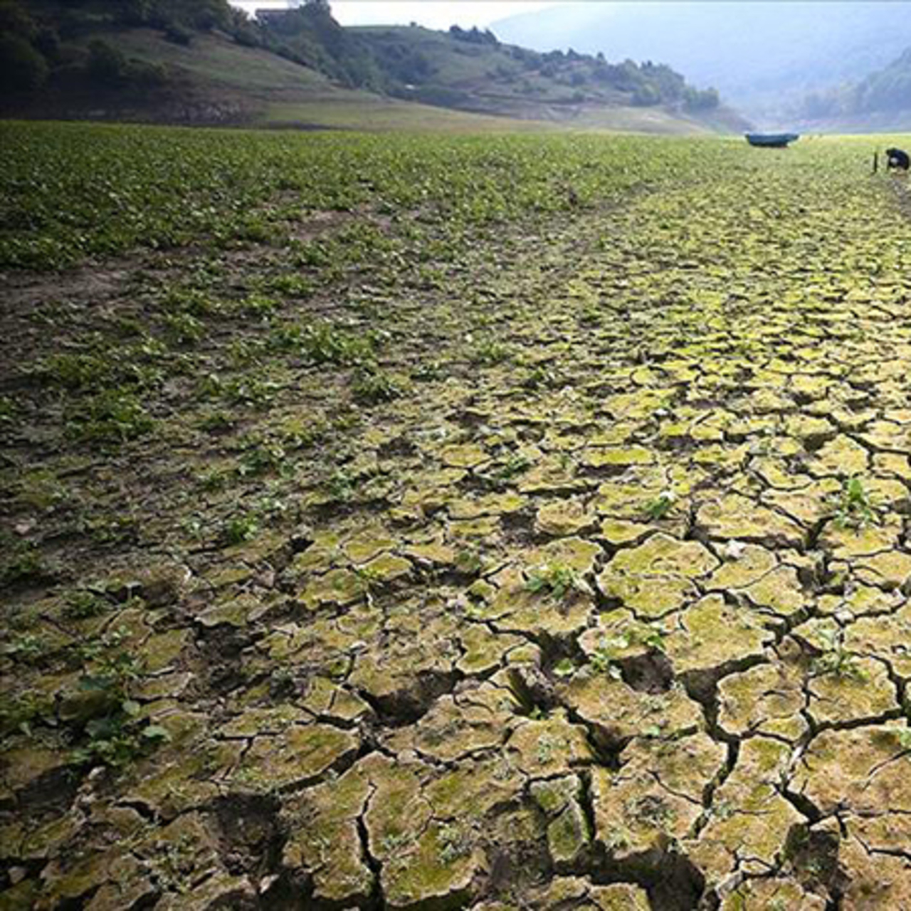 Dünyanın 4’te 3’ü çoraklaştı