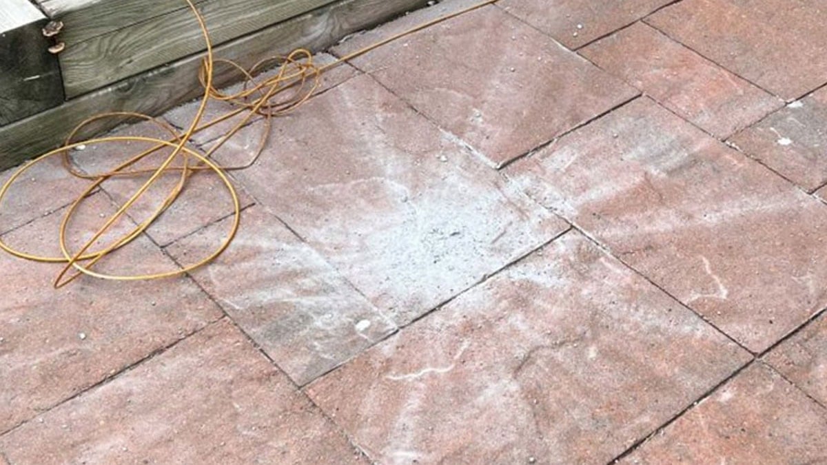 Evinizin önünde bu izden varsa dikkat: Sesi ilk kez kaydedildi, gökten geliyor!