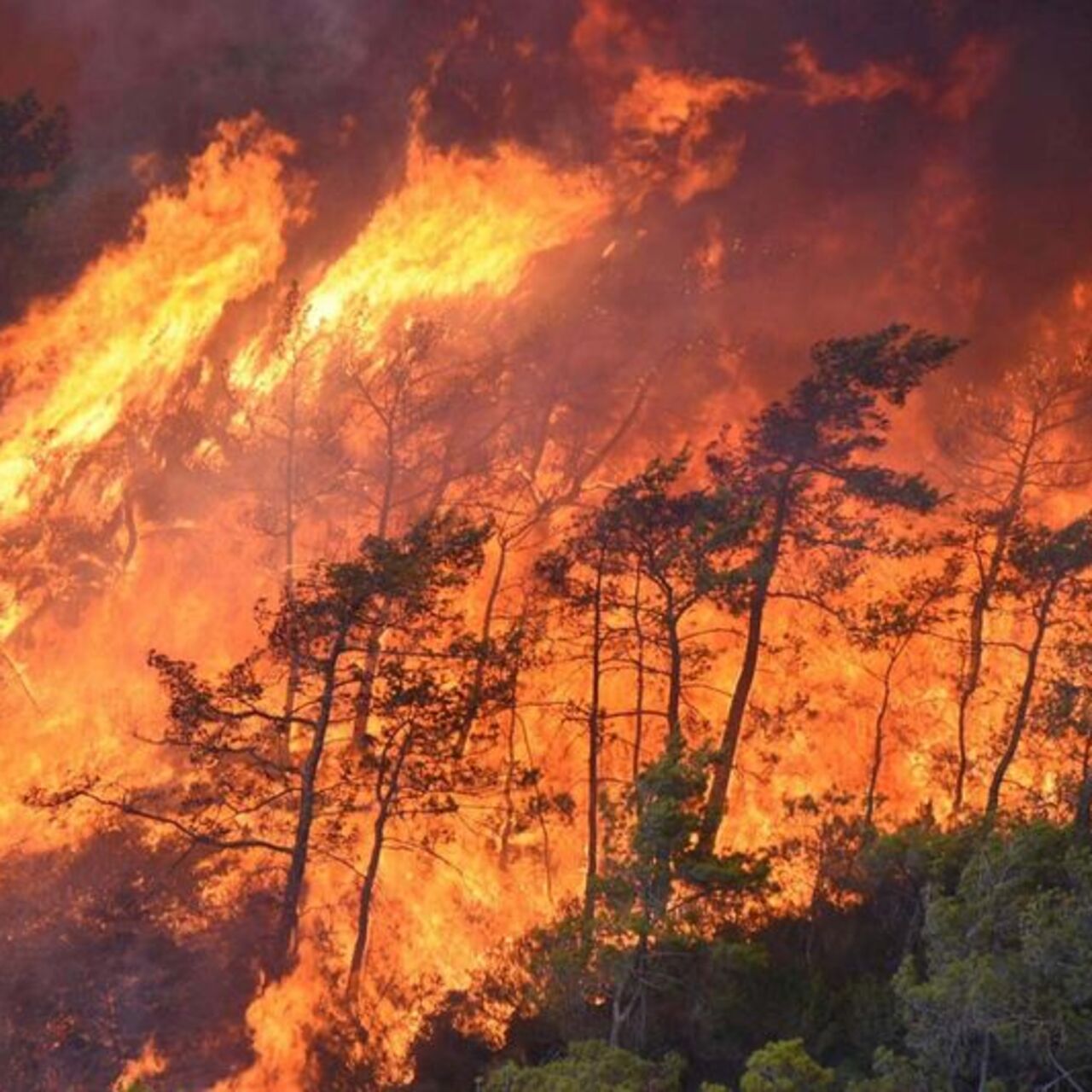 ‘Felaketlerde zarar görme kaygısı belirginleşti’