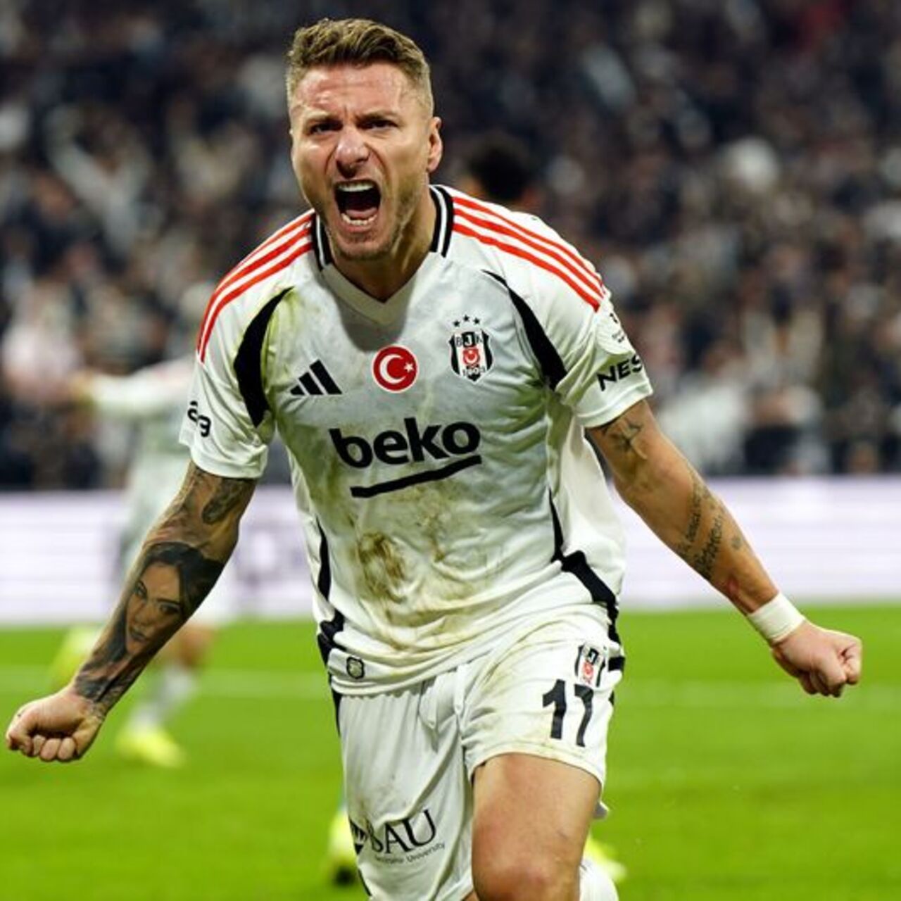 Immobile geri döndü!