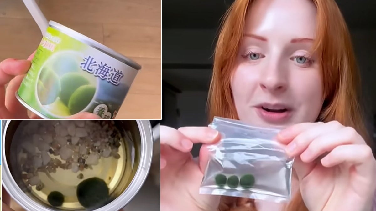 Japonlar konserveleyip satmaya başladı: Besliyorlar, ölümsüz ev arkadaşı diyorlar