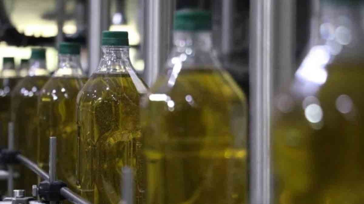 Kaliteli zeytinyağını ilk bakışta anlamak için üreticilerin kullandığı ipucu…