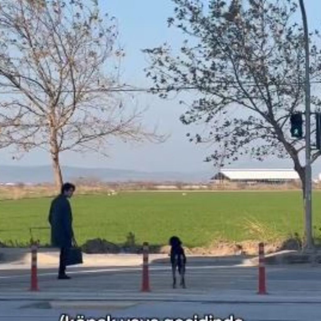Köpeğe böyle yardımcı oldu