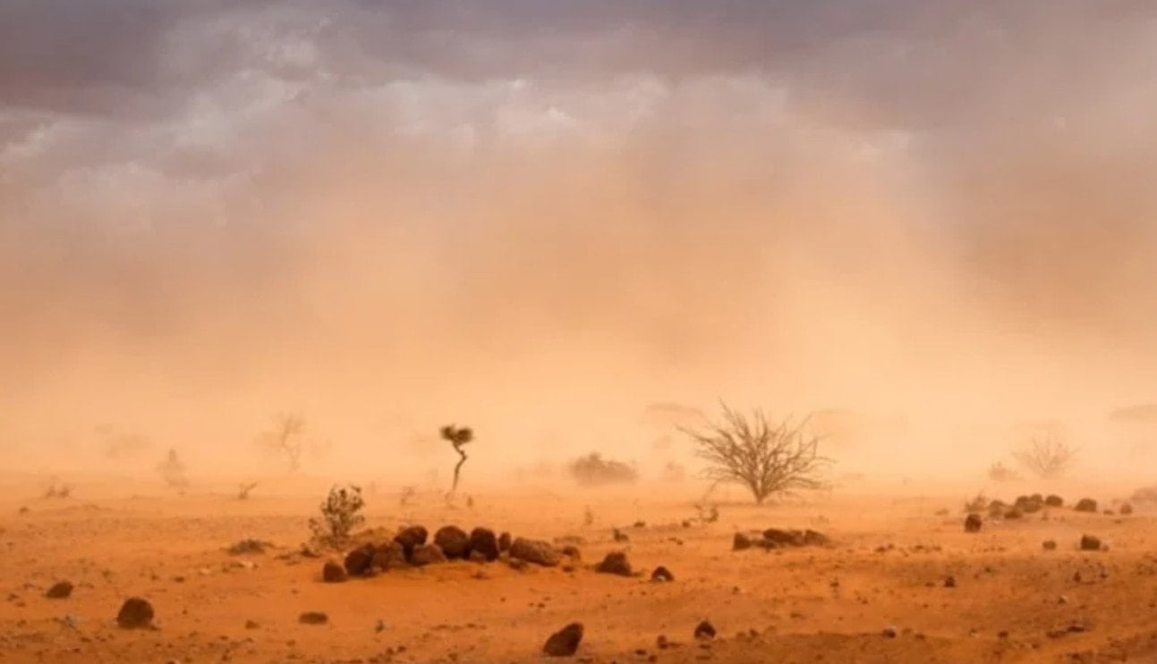 Kuraklık yapıyor diyerek müziği yasakladılar