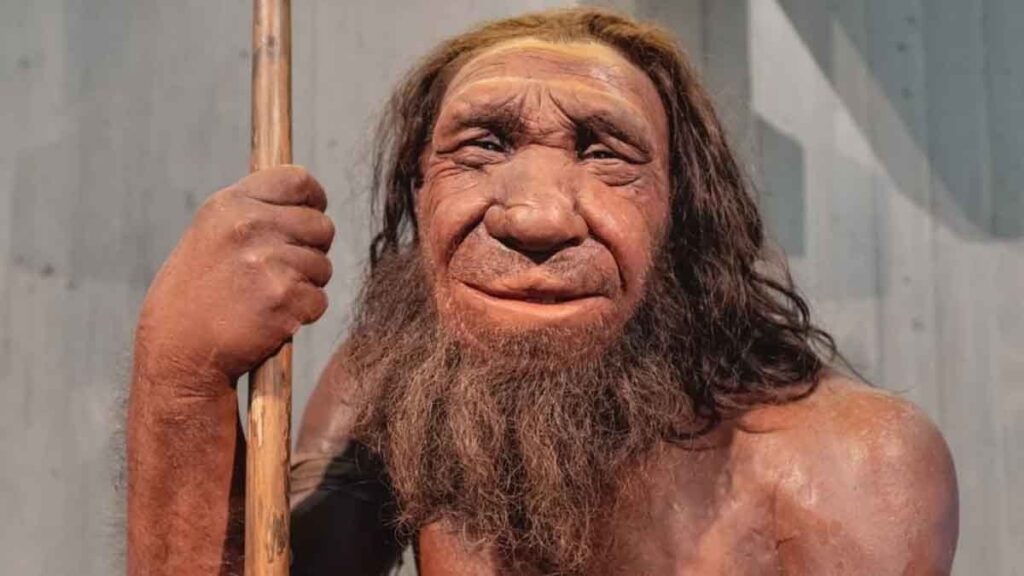 Neandertallerin kanı onların neslinin tükenmesine yol açmış olabilir: İşte o kan grubu