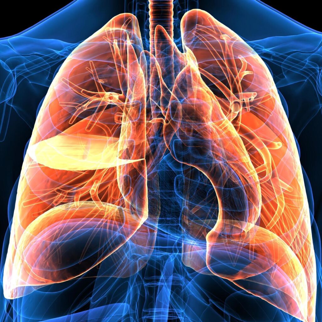 Prof. Dr. Özlü’den ‘zatürre’ uyarısı