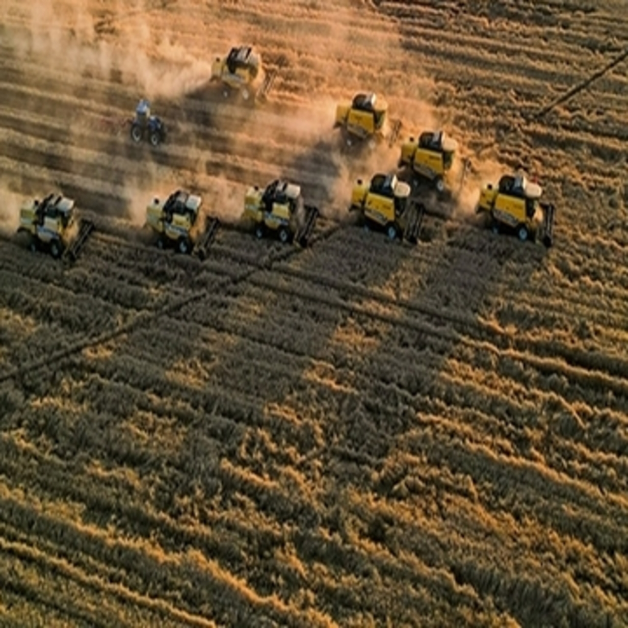 Tarımsal girdi enflasyonu kasımda arttı