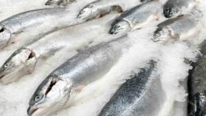 Yılın iyi balıklar listesi yayınlandı: Yalnızca bu 9 balık türü koşulsuz tavsiye ediliyor, biri tezgahlarda!