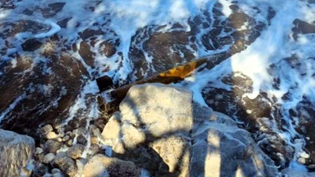 Akdeniz’de ki tatbikatta kullanılan mermi turistik plaja düştü