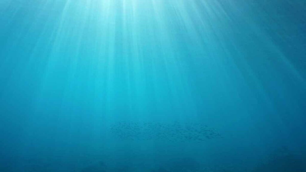 Akdeniz’in derinliklerinde, yüzlerce iri göz: Yeni bir dönemin başlangıcı…