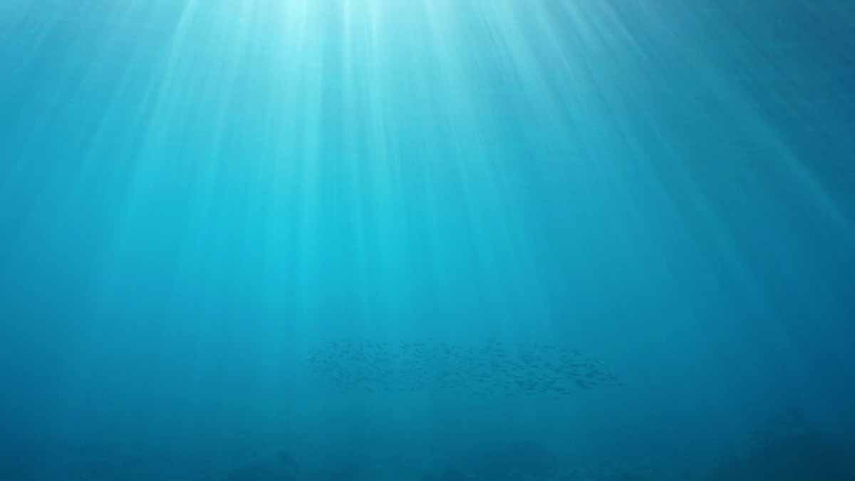 Akdeniz’in derinliklerinde, yüzlerce iri göz: Yeni bir dönemin başlangıcı…