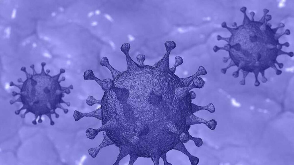 Amerikan medyası duyurdu, bilim insanları alarma geçti: Bir pandemiye hiç bu kadar yakın olmamıştık