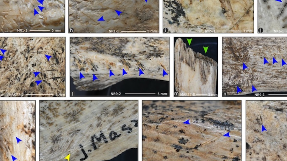 Avrupa’nın göbeğinde insan eti yemişler: Kanıtlar ortaya çıktı