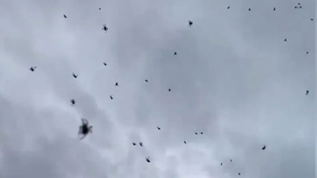 Bir anda gökten yüzlercesi yağdı: Yetkililerden açıklama geldi