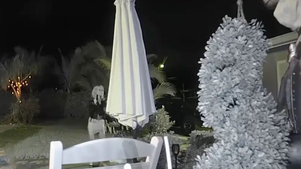 Eski kocasının penceresine tuğla atarken yakalandı