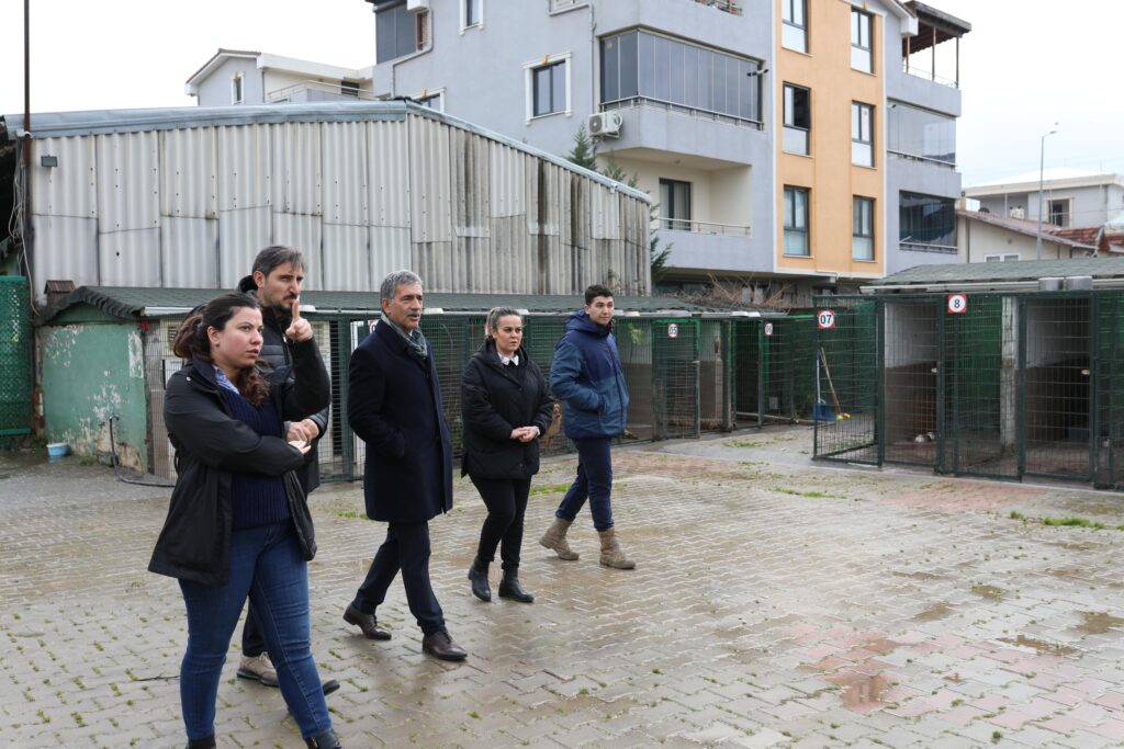 Gemlik Belediyesi Patili Dostlara Sahip Çıkıyor