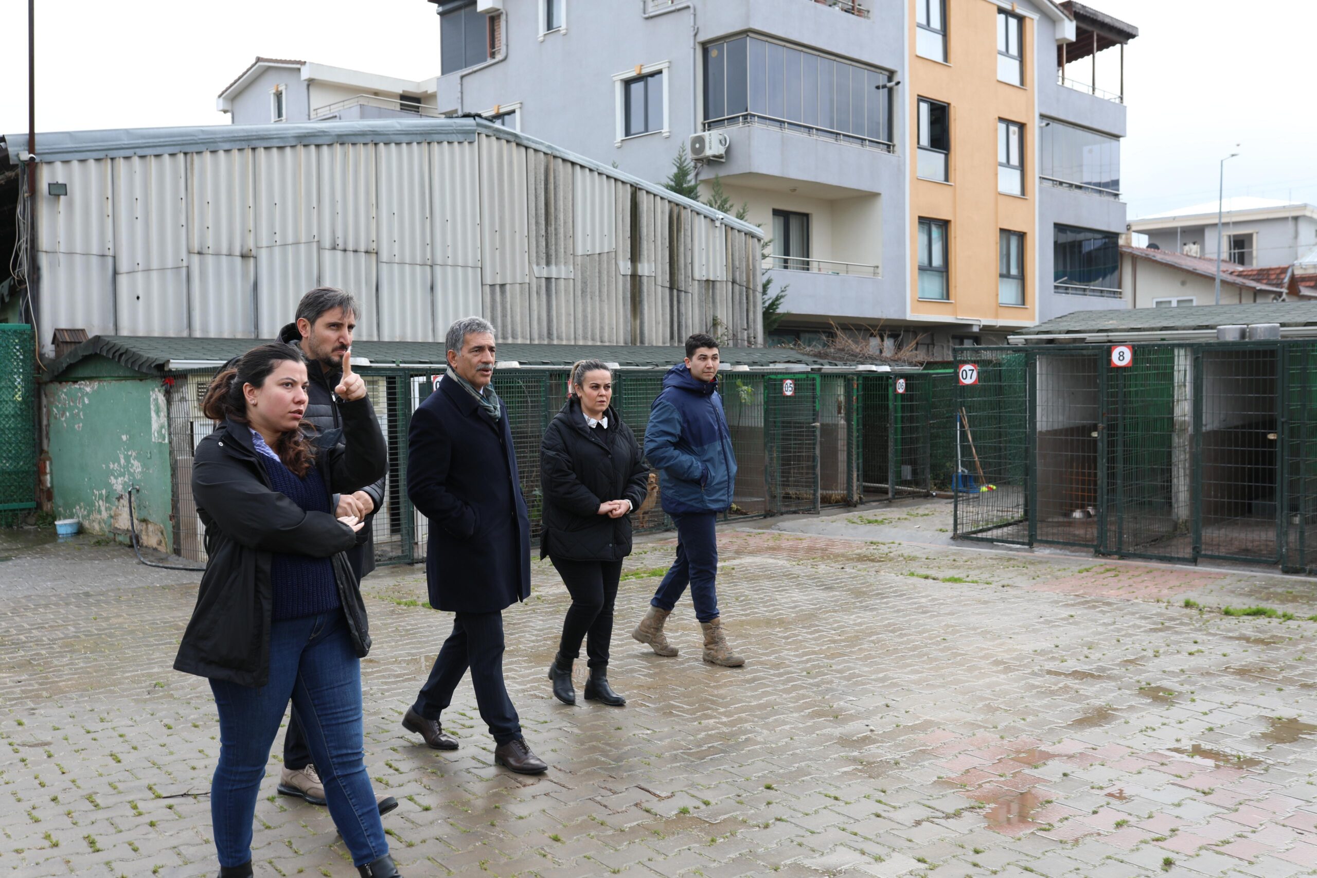 Gemlik Belediyesi Patili Dostlara Sahip Çıkıyor