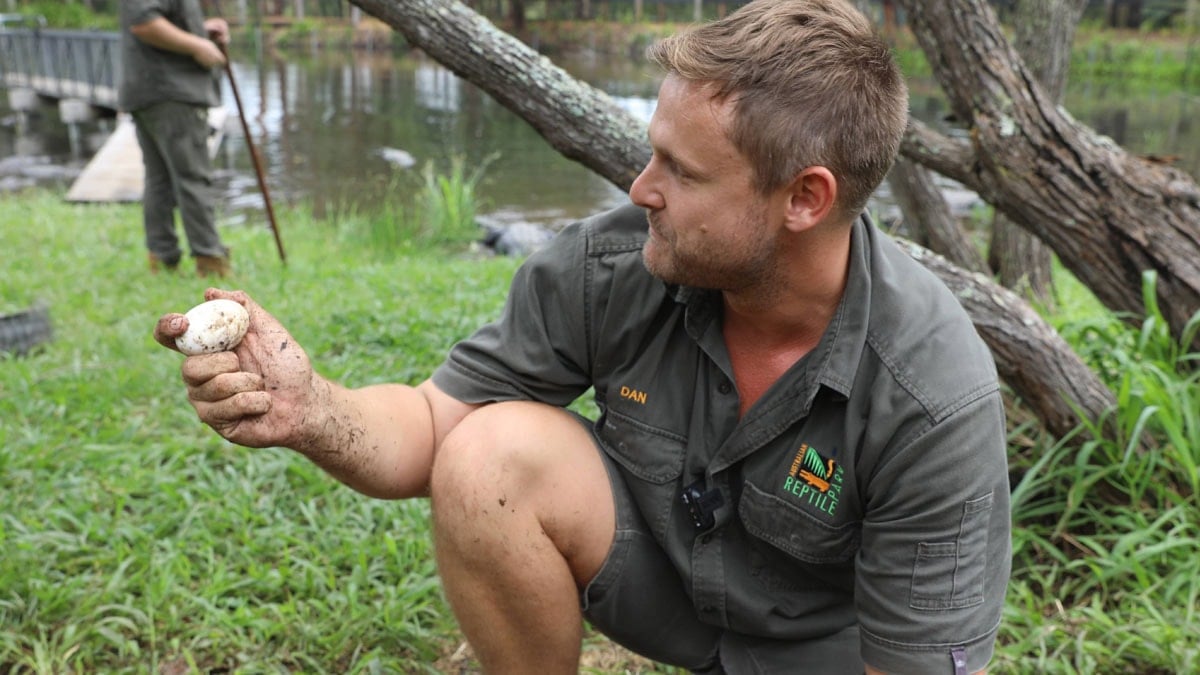 Hayvanat bahçesi yana yakıla o hayvanı arıyor: Dünyanın en tehlikelisi