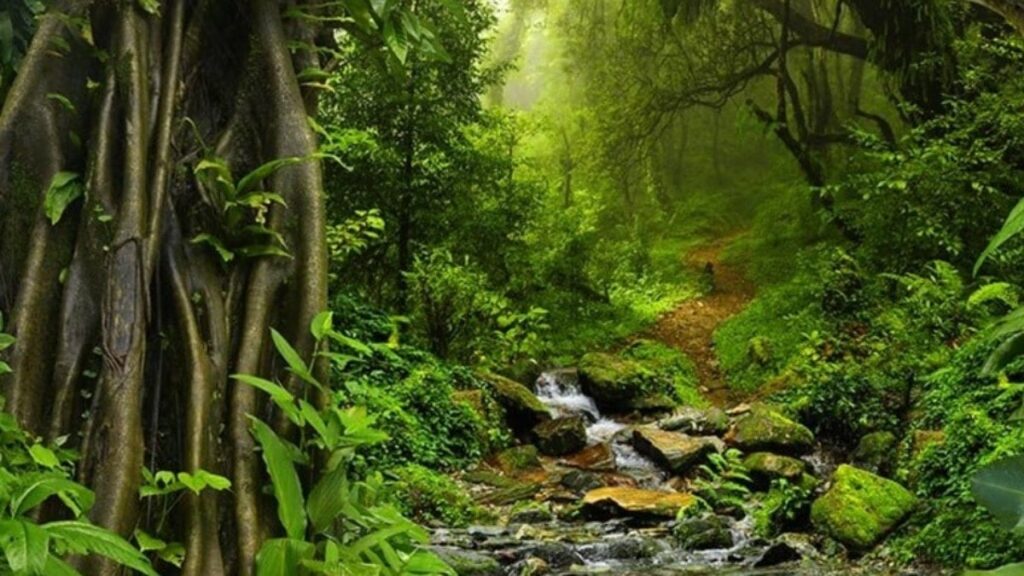 İşte Amazon yerlileriyle Türklerin ortak özelliği