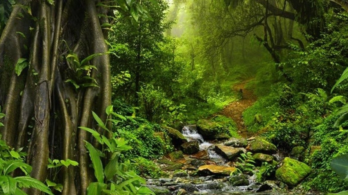 İşte Amazon yerlileriyle Türklerin ortak özelliği