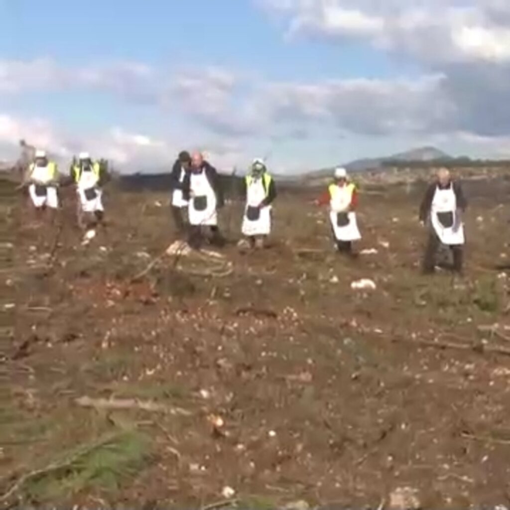 İzmir’de yanan ormanlar için seferberlik