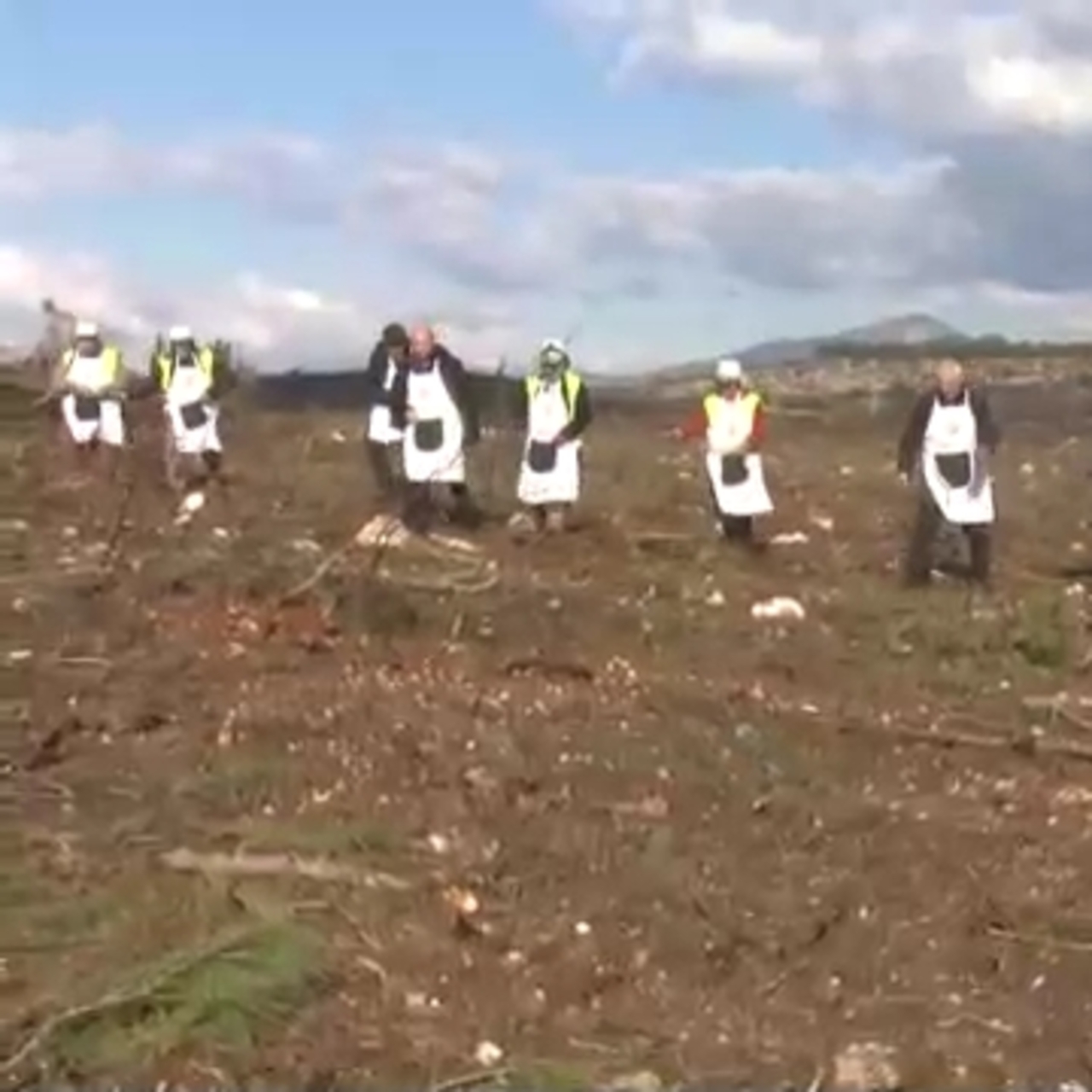 İzmir’de yanan ormanlar için seferberlik